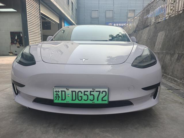 Tesla Model 3 2021 Standard Range RWD Upgraded – фото 2
