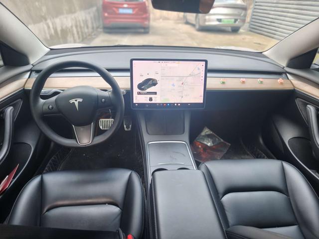 Tesla Model 3 2021 Standard Range RWD Upgraded – фото 5