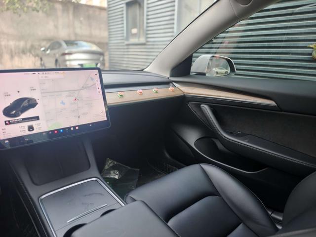 Tesla Model 3 2021 Standard Range RWD Upgraded – фото 7