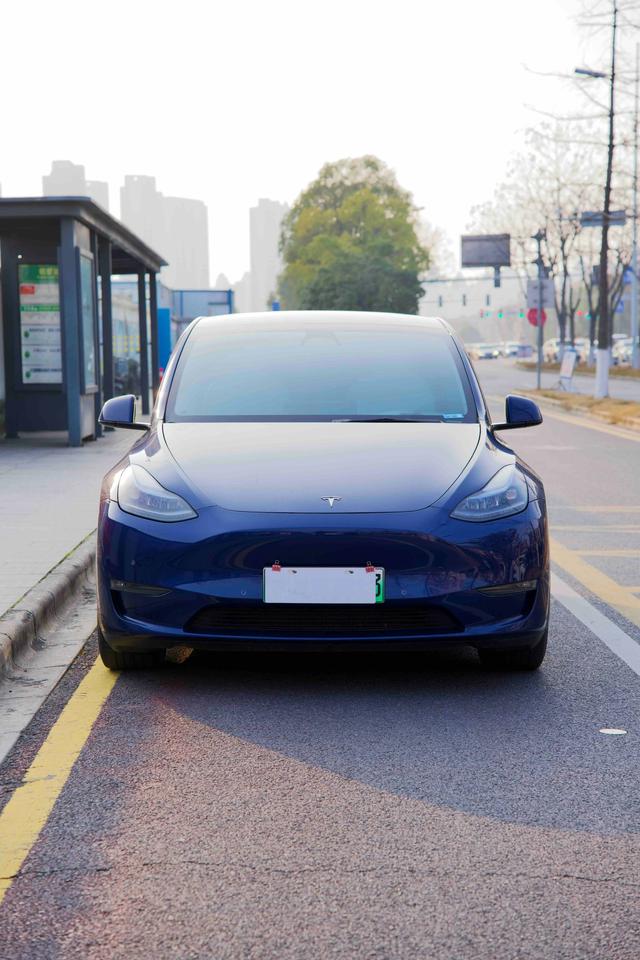 Tesla Model Y 2023 Performance AWD – фото 2