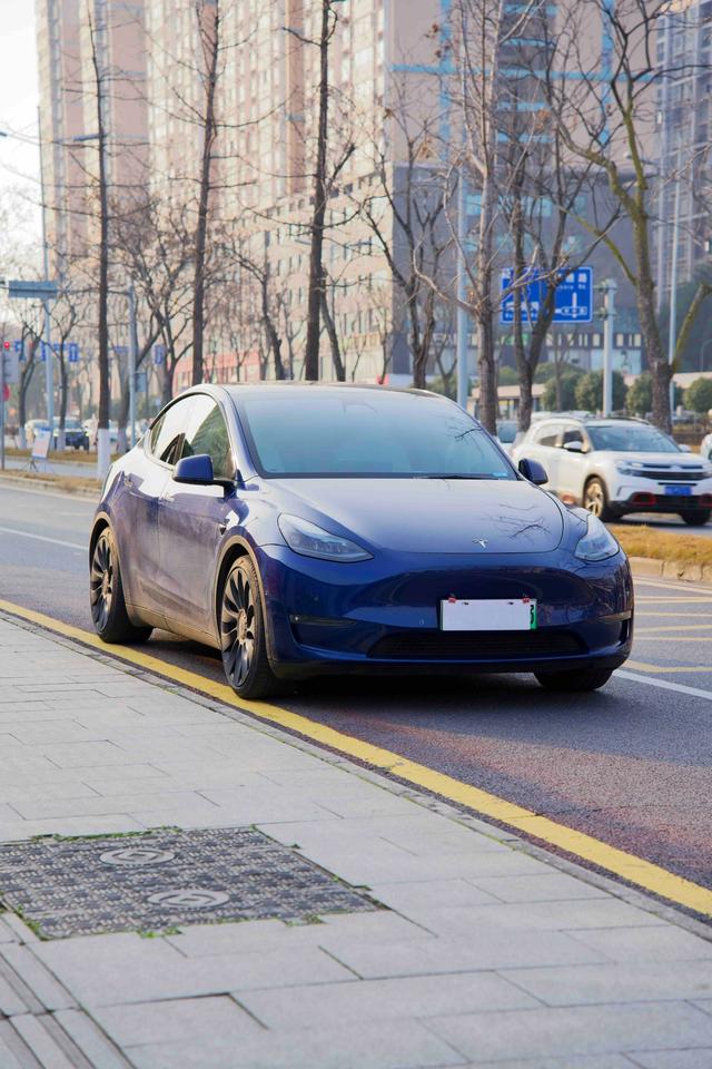 Tesla Model Y 2023 Performance AWD – фото 3