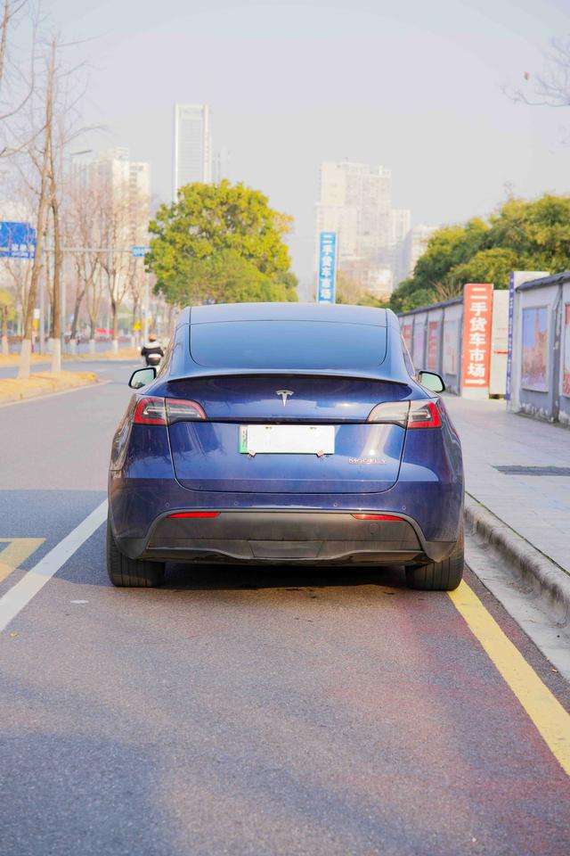 Tesla Model Y 2023 Performance AWD – фото 4