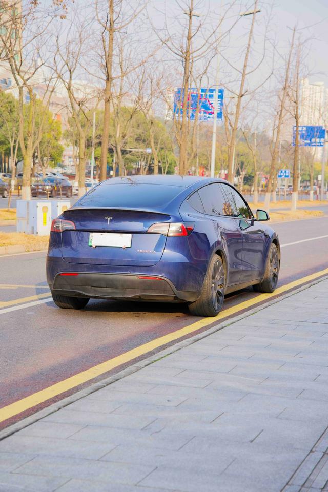 Tesla Model Y 2023 Performance AWD – фото 5