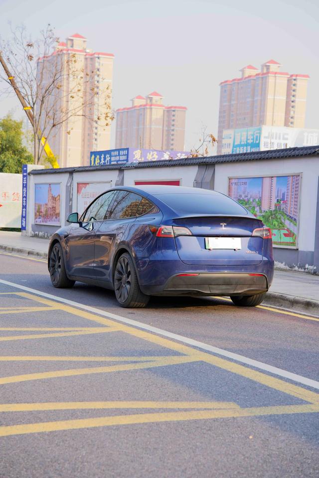 Tesla Model Y 2023 Performance AWD – фото 6