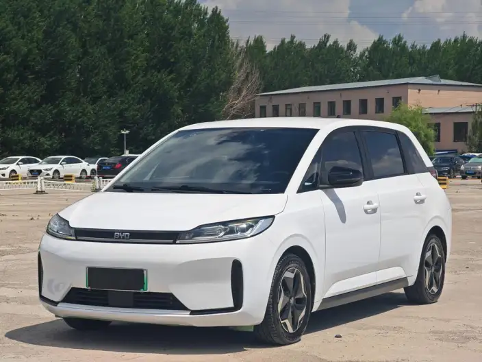 BYD D1 2021 Model Lingchuang Edition