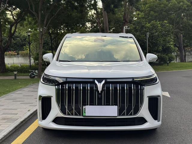 VOYAH Dreamer PHEV 2024 Ultra-Long Range Premium – фото 2