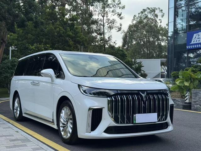 VOYAH Dreamer PHEV 2024 Ultra-Long Range Premium – фото 3