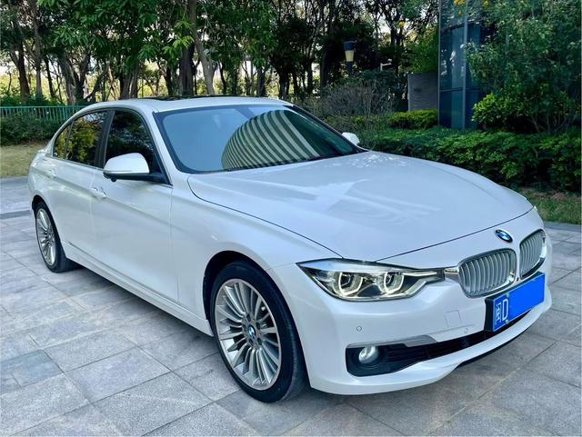 BMW 3 Series 2019 320Li Style – фото 3