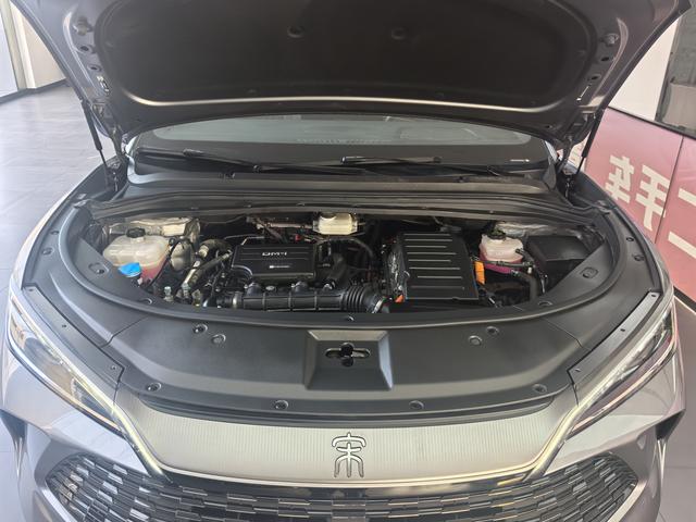 BYD Seagull 2024 Glory 305KM Freedom 2025 Model S mart Driving Edition DM-i 112KM Transcendent – фото 14