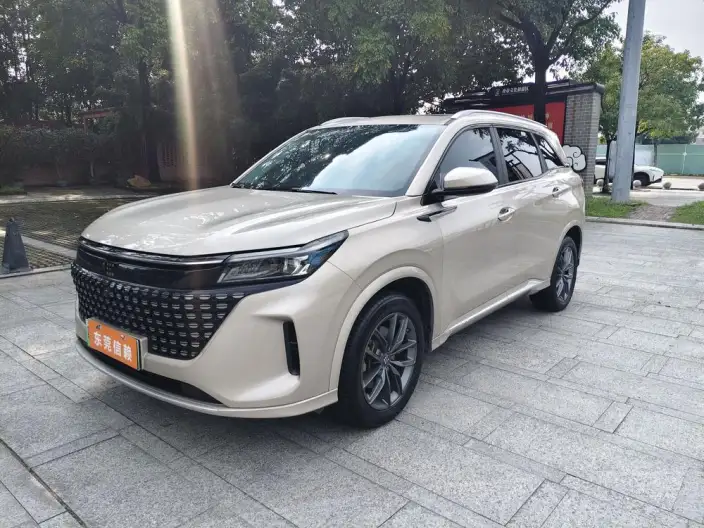 Blue Electric E5 2024 Model Honor Edition 100km Zhen Xiang Model