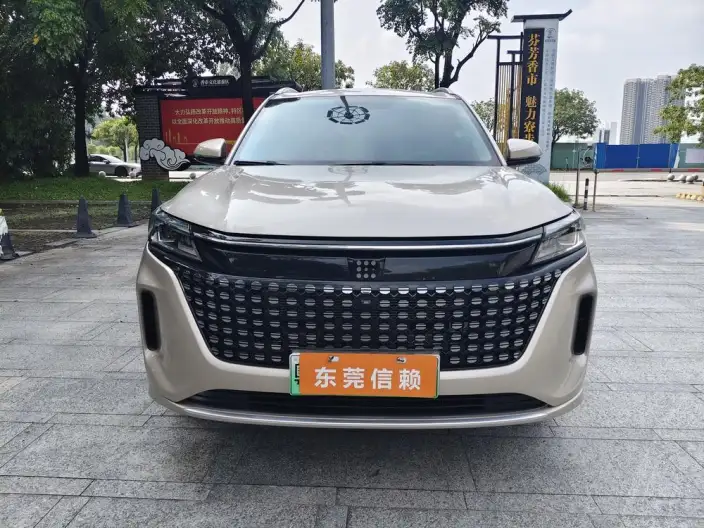 Blue Electric E5 2024 Model Honor Edition 100km Zhen Xiang Model