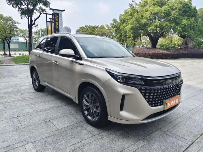 Blue Electric E5 2024 Model Honor Edition 100km Zhen Xiang Model