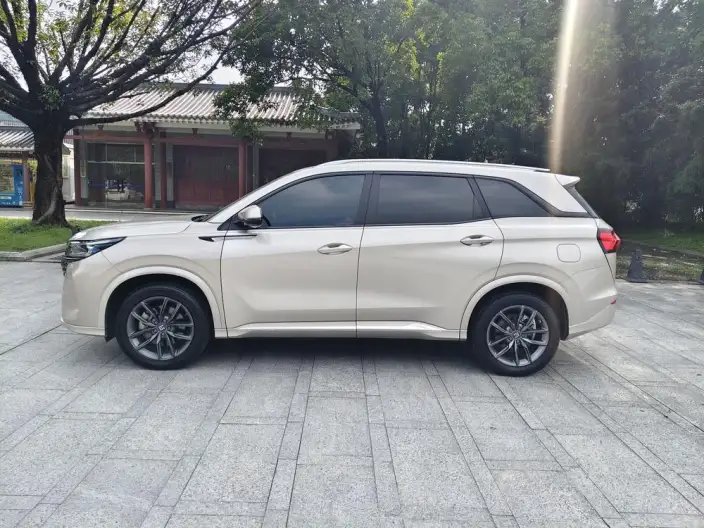 Blue Electric E5 2024 Model Honor Edition 100km Zhen Xiang Model