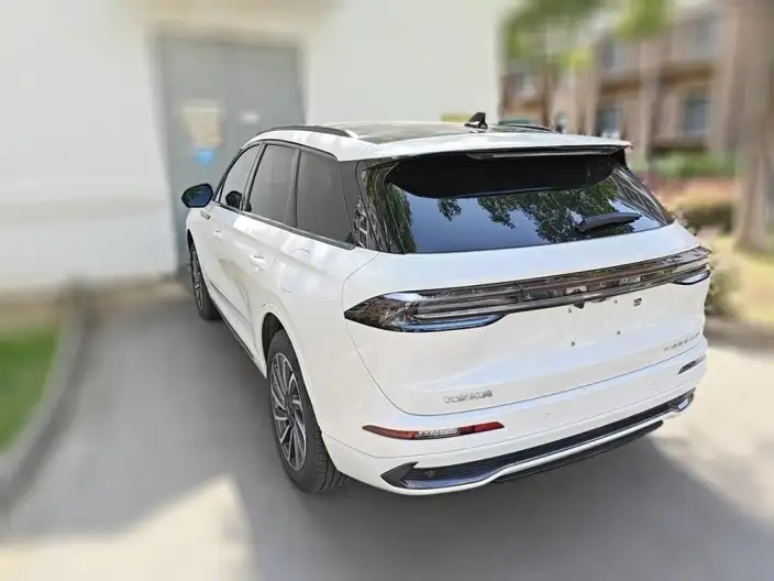 Lincoln Corsair 2024 Model 1.5T 2WD Zunya Hybrid version