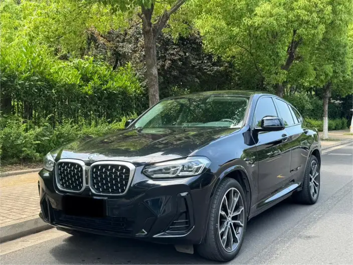 BMW X4 2022 Model xDrive 30i M Sports Set