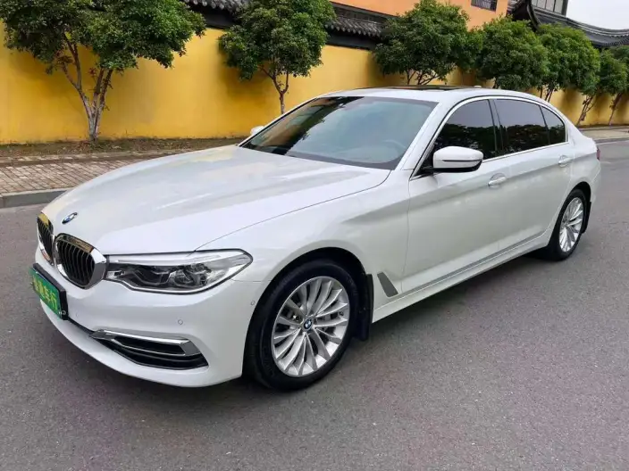 BMW 5 Series 2020 Model 530Li Exclusive Model Luxury Set – фото 1
