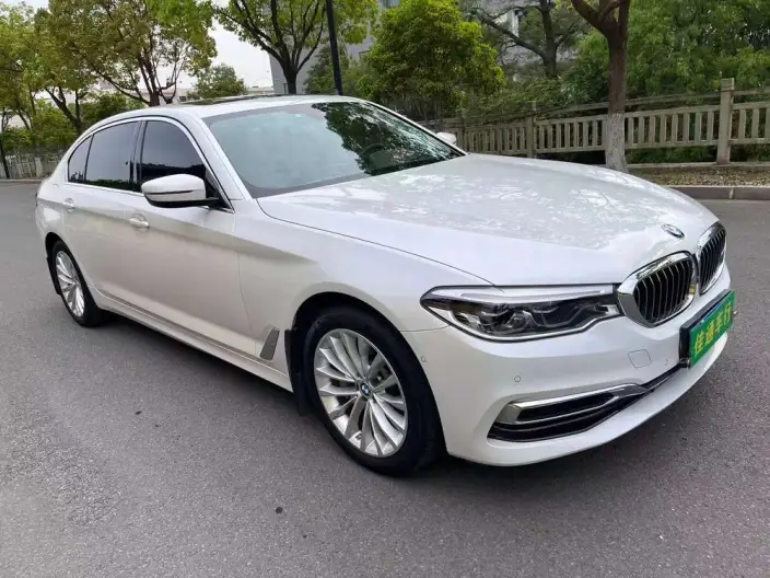 BMW 5 Series 2020 Model 530Li Exclusive Model Luxury Set – фото 3