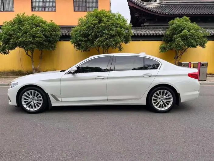 BMW 5 Series 2020 Model 530Li Exclusive Model Luxury Set – фото 4