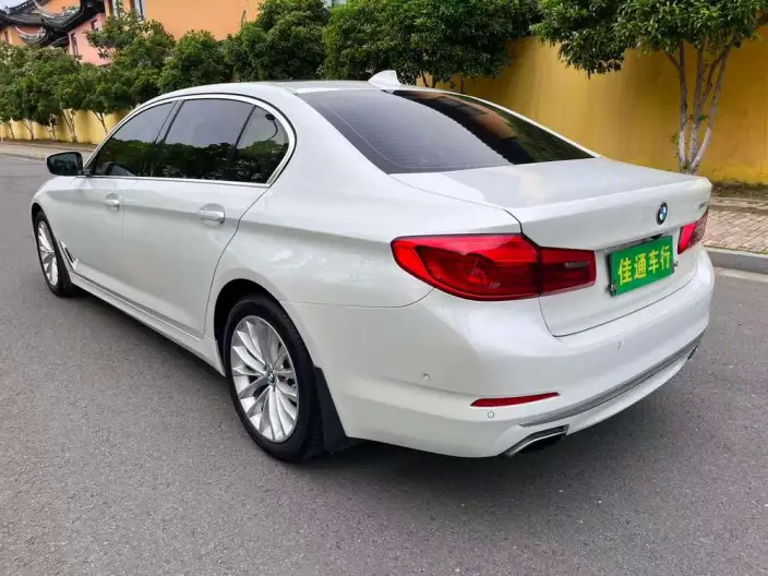 BMW 5 Series 2020 Model 530Li Exclusive Model Luxury Set – фото 5