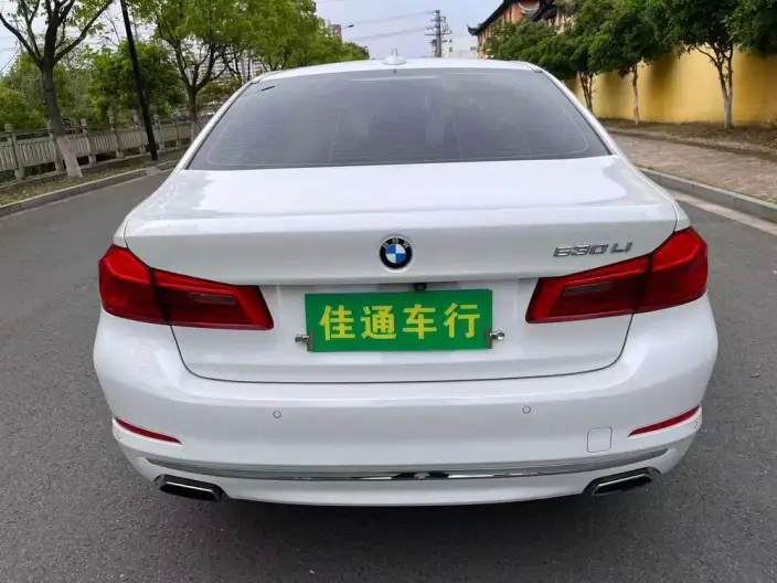 BMW 5 Series 2020 Model 530Li Exclusive Model Luxury Set – фото 6