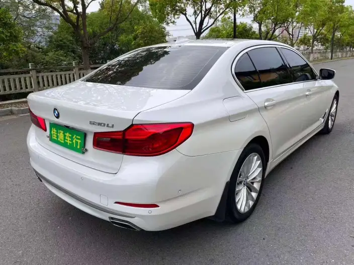BMW 5 Series 2020 Model 530Li Exclusive Model Luxury Set – фото 7
