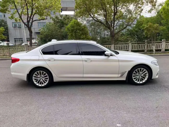 BMW 5 Series 2020 Model 530Li Exclusive Model Luxury Set – фото 8