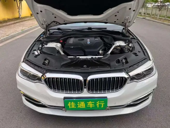 BMW 5 Series 2020 Model 530Li Exclusive Model Luxury Set – фото 9