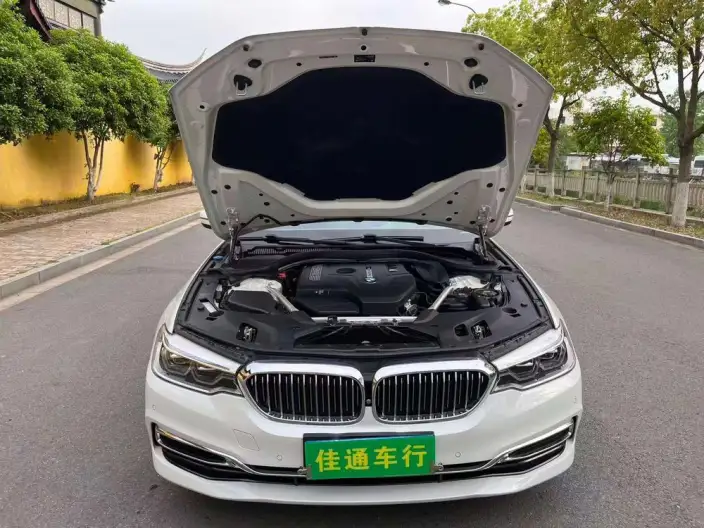 BMW 5 Series 2020 Model 530Li Exclusive Model Luxury Set – фото 10