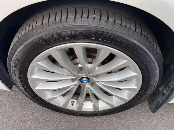 BMW 5 Series 2020 Model 530Li Exclusive Model Luxury Set – фото 14