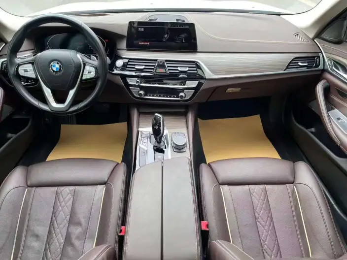 BMW 5 Series 2020 Model 530Li Exclusive Model Luxury Set – фото 17