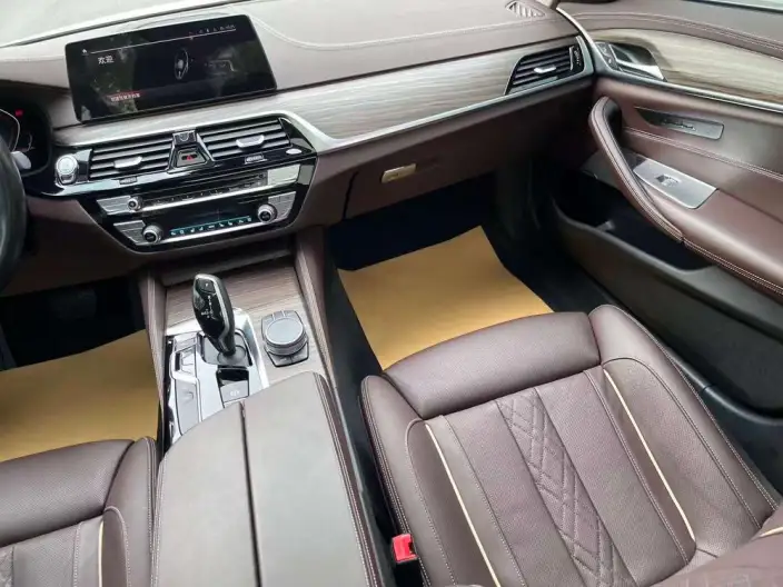 BMW 5 Series 2020 Model 530Li Exclusive Model Luxury Set – фото 19