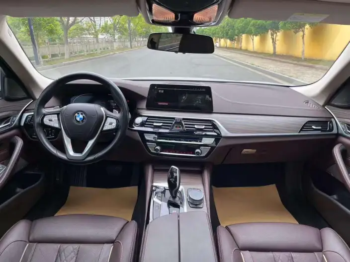BMW 5 Series 2020 Model 530Li Exclusive Model Luxury Set – фото 20
