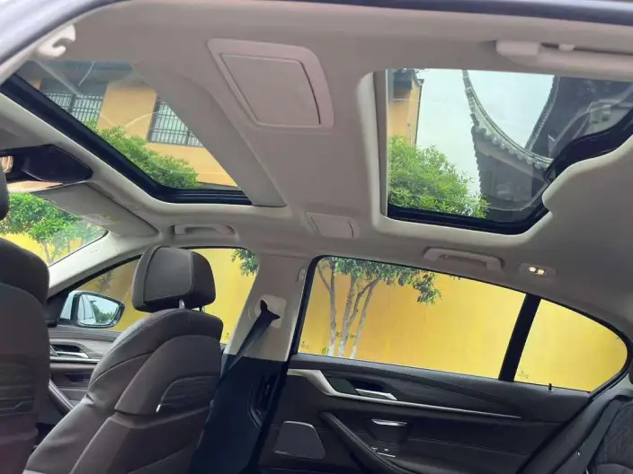 BMW 5 Series 2020 Model 530Li Exclusive Model Luxury Set – фото 24