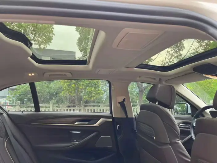 BMW 5 Series 2020 Model 530Li Exclusive Model Luxury Set – фото 28