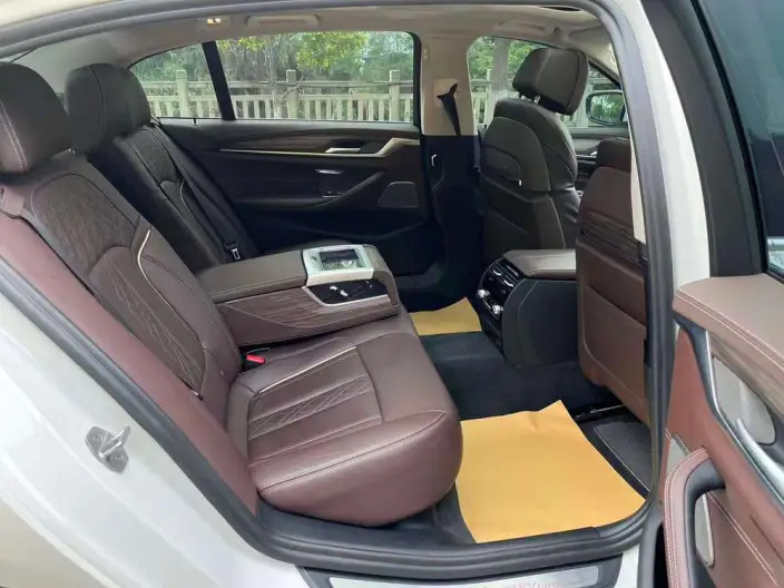 BMW 5 Series 2020 Model 530Li Exclusive Model Luxury Set – фото 30