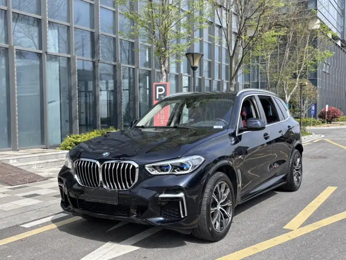 BMW X5 2022 Model Facelift xDrive 30Li Exclusive Model M Sports Set