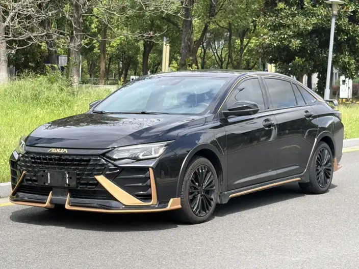 Yixuan Max 2022 Model 1.5T Dark Night Edge Edition