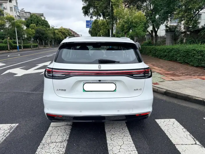 Sangyuan H5 2025 Model Extended Range Max