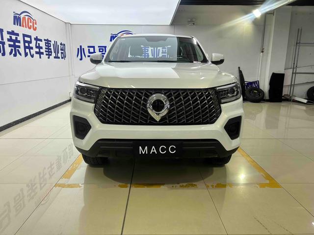 Cannon 2024 модификация Commercial version 2.4T дизель автоматическое 2WD Big double Elite GW4D24 – фото 2