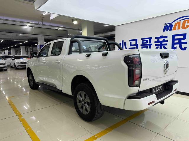 Cannon 2024 модификация Commercial version 2.4T дизель автоматическое 2WD Big double Elite GW4D24 – фото 9
