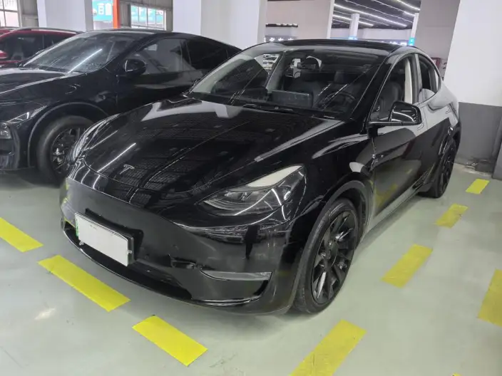 Model Y 2021 Model Standard Battery Life Rear-wheel drive version