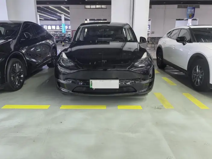Model Y 2021 Model Standard Battery Life Rear-wheel drive version