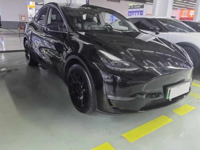 Model Y 2021 Model Standard Battery Life Rear-wheel drive version