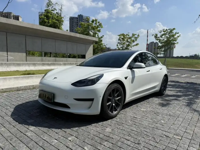 Model 3 2021 Model Standard Battery Life Rear Drive L Class Edition 3D6