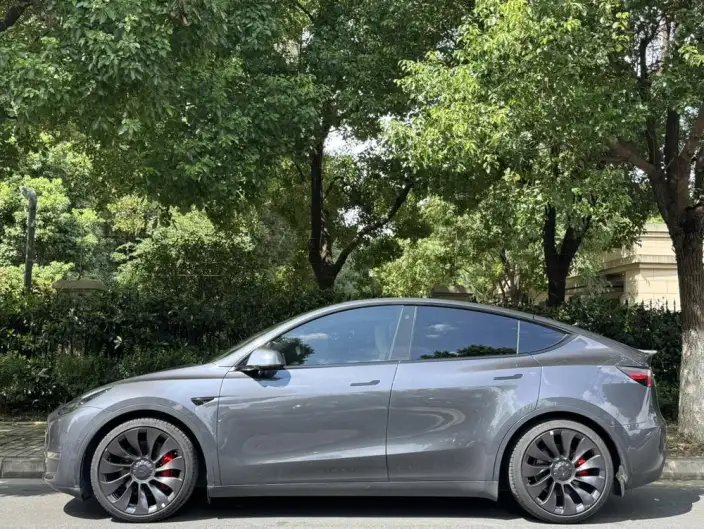 Model Y 2022 Model Performance High performance All-wheel drive version