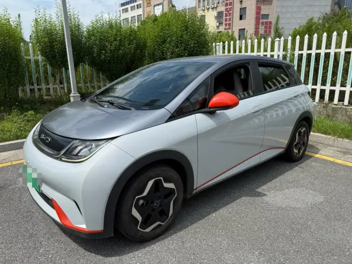 BYD Dolphin 2021 Model Fashion Edition