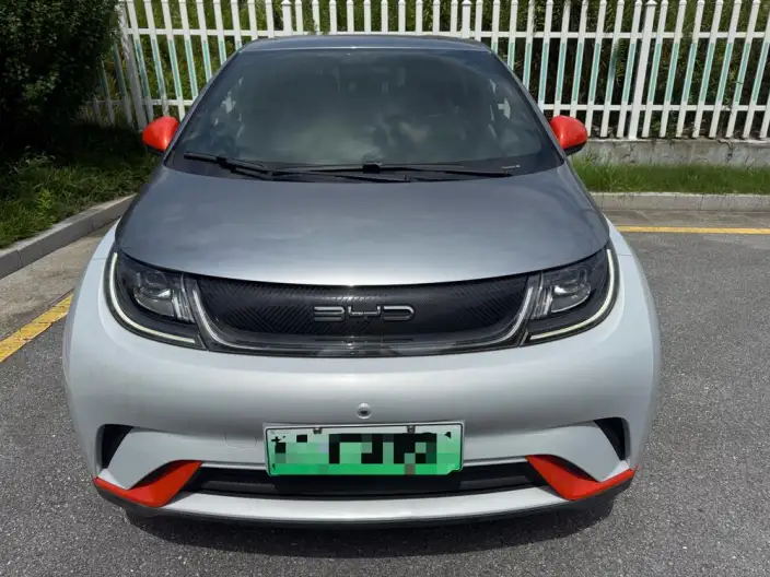 BYD Dolphin 2021 Model Fashion Edition
