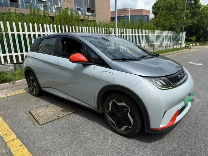 BYD Dolphin 2021 Model Fashion Edition
