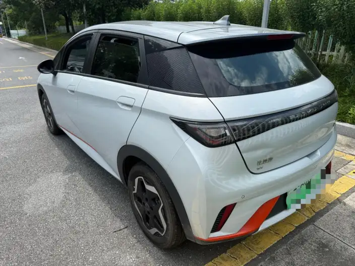 BYD Dolphin 2021 Model Fashion Edition