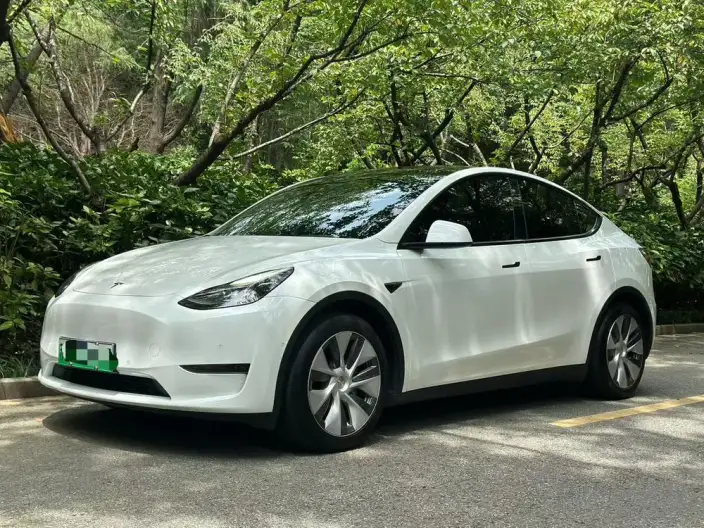 Model Y 2021 Model Standard Battery Life Rear-wheel drive version
